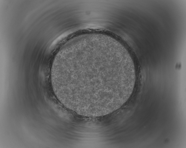 X0000112940920200910051152