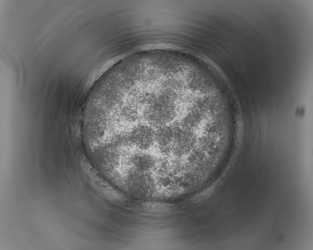 X0000112940921200910051152