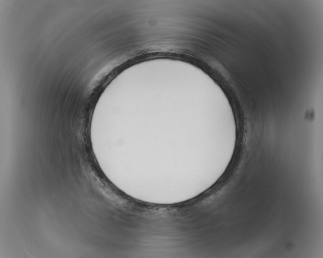 X0000112940922200910051152
