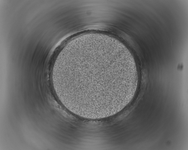 X0000112940923200910051152