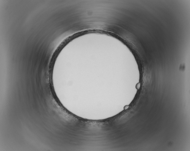 X0000112940924200910051152