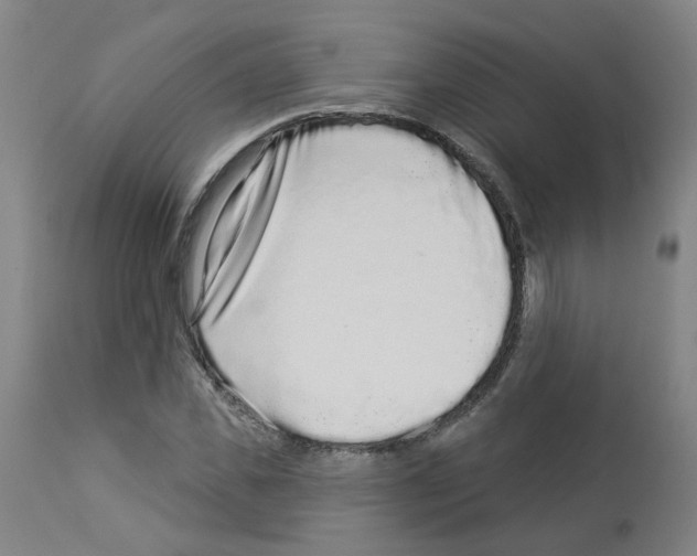 X0000112940925200910051152