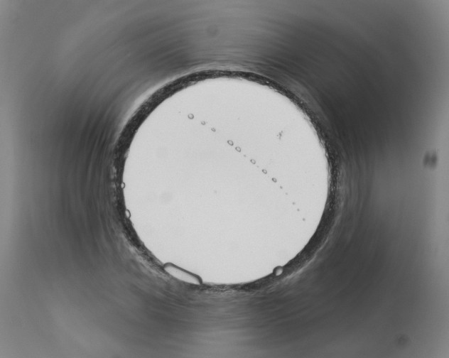 X0000112940926200910051152