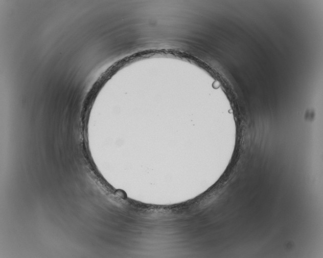 X0000112940927200910051152