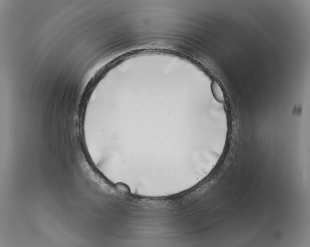 X0000112940928200910051152