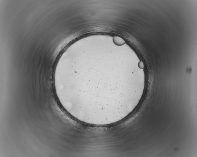 X0000112940930200910051152