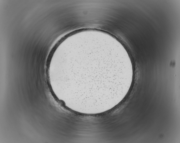 X0000112940932200910051152