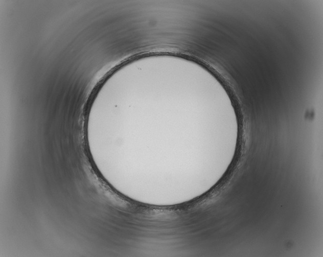 X0000112940933200910051152