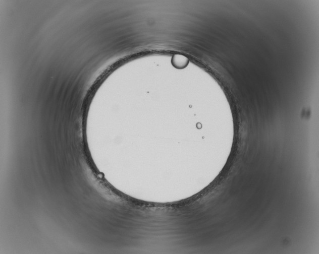X0000112940934200910051152