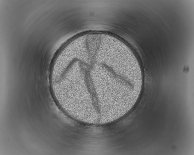 X0000112940935200910051152