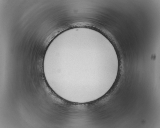 X0000112940937200910051152