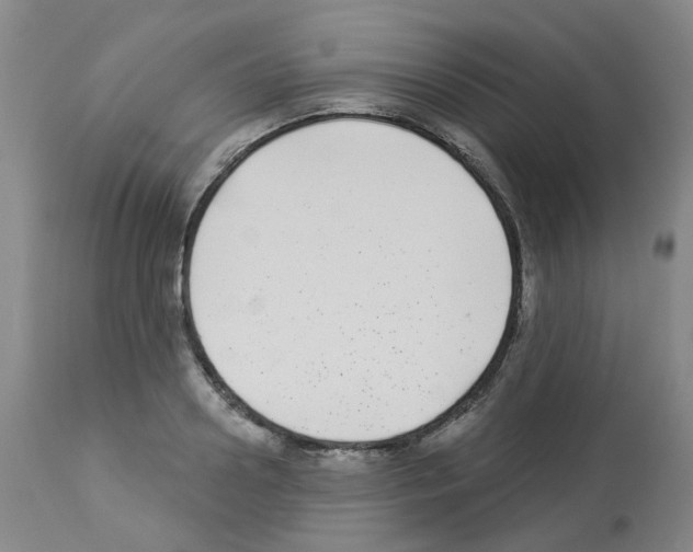 X0000112940938200910051152