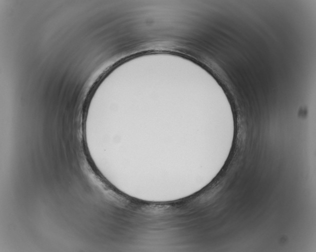 X0000112940939200910051152