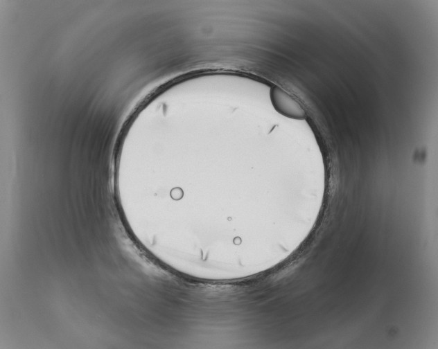 X0000112940940200910051152