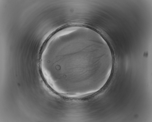 X0000112940941200910051152