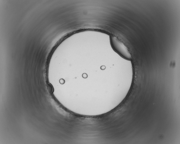 X0000112940942200910051152