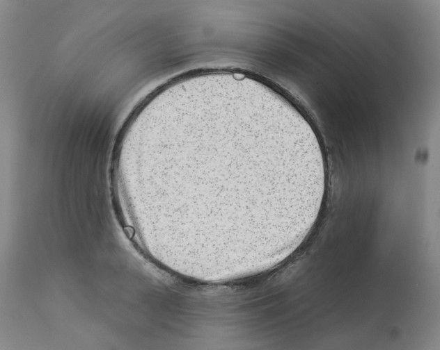 X0000112940943200910051152