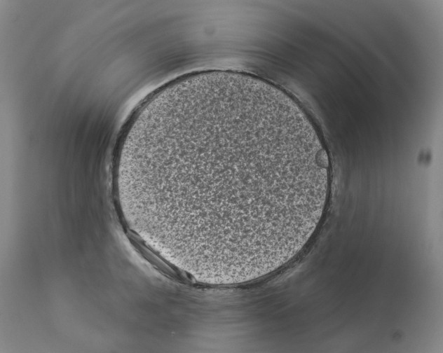 X0000112940944200910051152