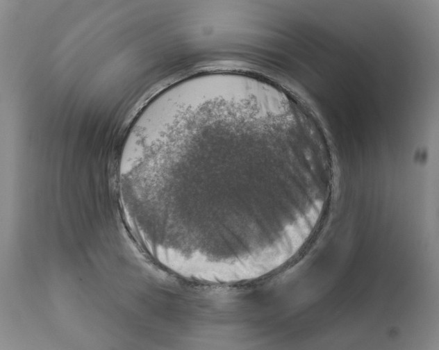 X0000112940945200910051152