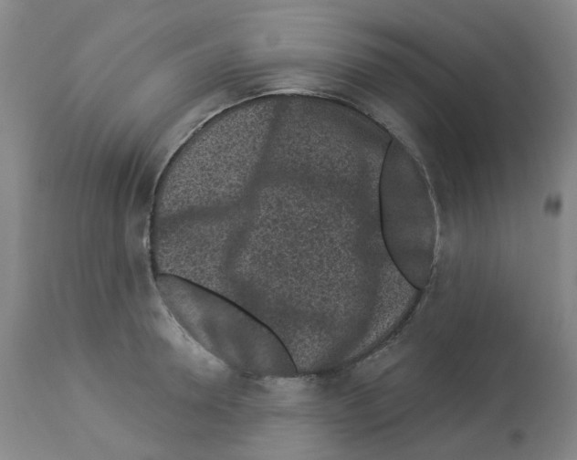 X0000112940946200910051152