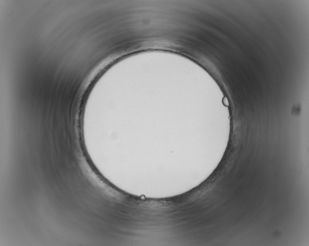 X0000112940947200910051152
