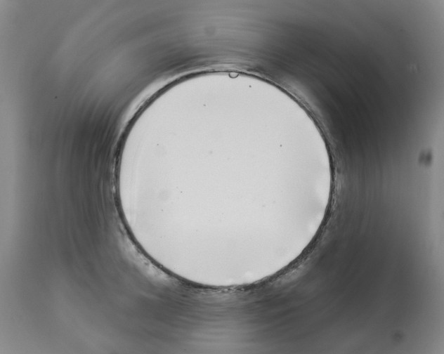 X0000112940948200910051152