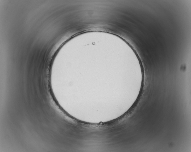 X0000112940949200910051152