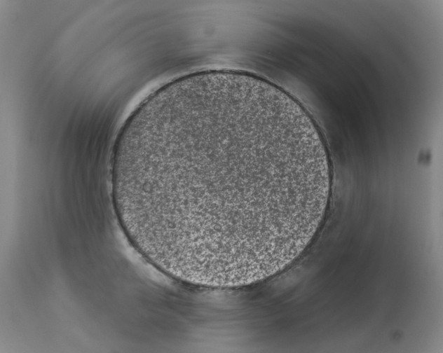 X0000112940950200910051152