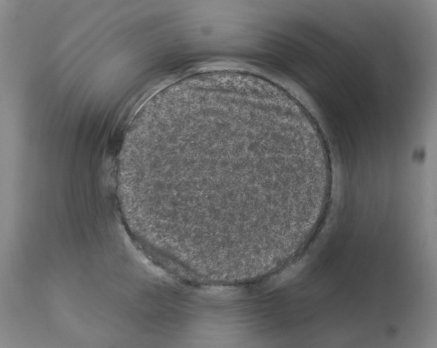 X0000112940953200910051152