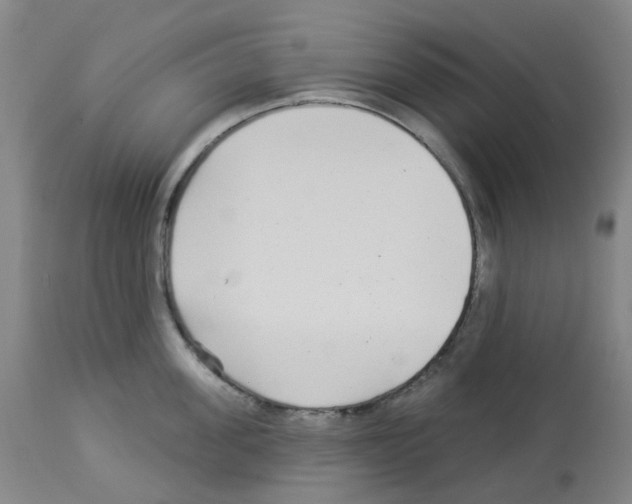X0000112940955200910051152