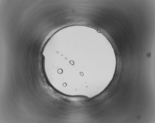 X0000112940956200910051152