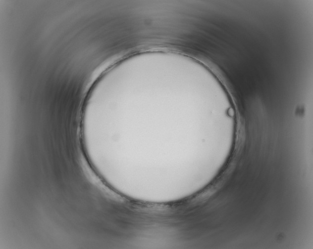 X0000112940957200910051152