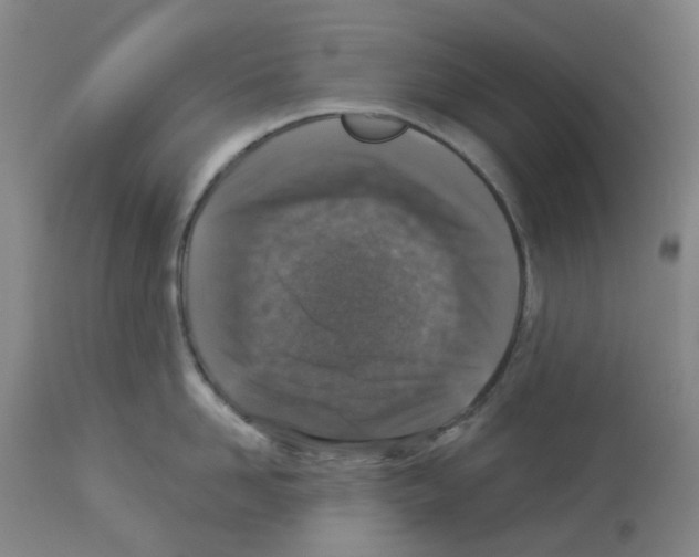 X0000112940958200910051152