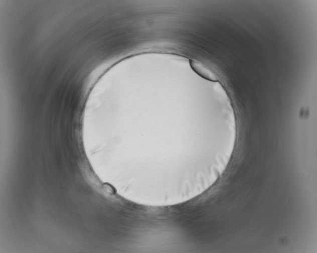 X0000112940960200910051152