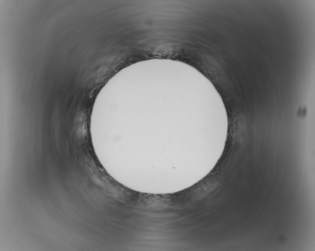 X0000112940962200910051151