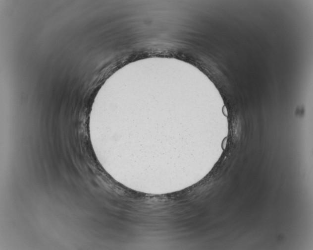 X0000112940964200910051151