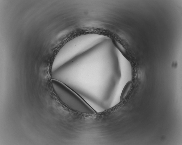 X0000112940965200910051151