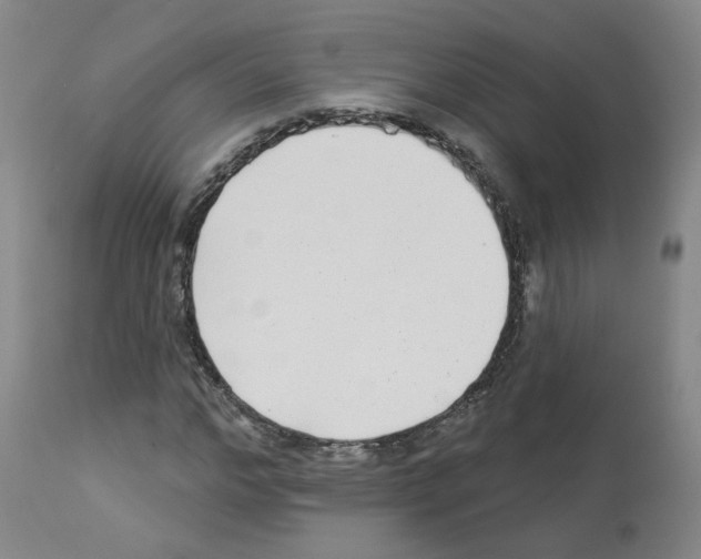 X0000112940968200910051151