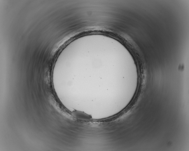 X0000112940969200910051151