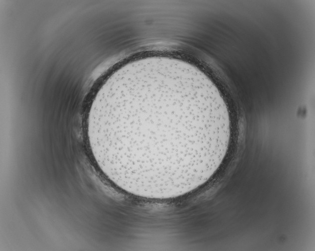 X0000112940970200910051151