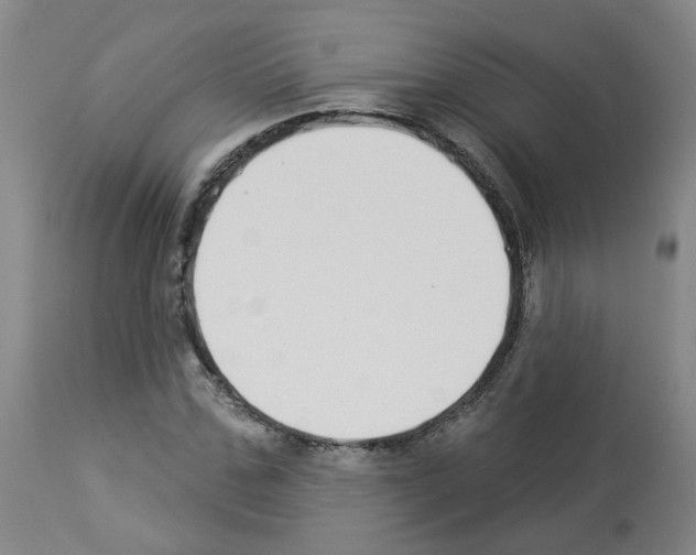 X0000112940971200910051151