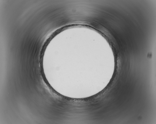 X0000112940972200910051151