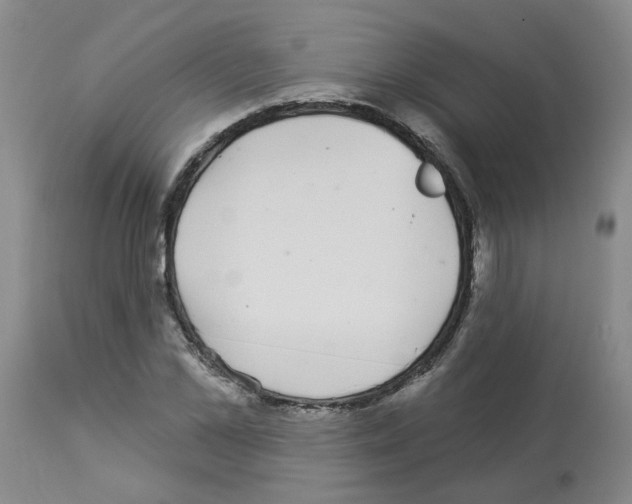 X0000112940973200910051151