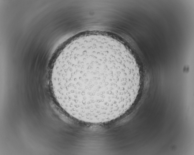 X0000112940974200910051151