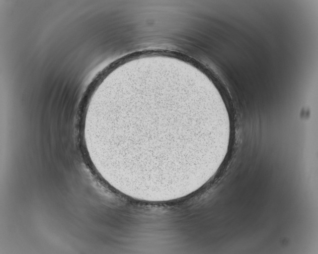 X0000112940975200910051151