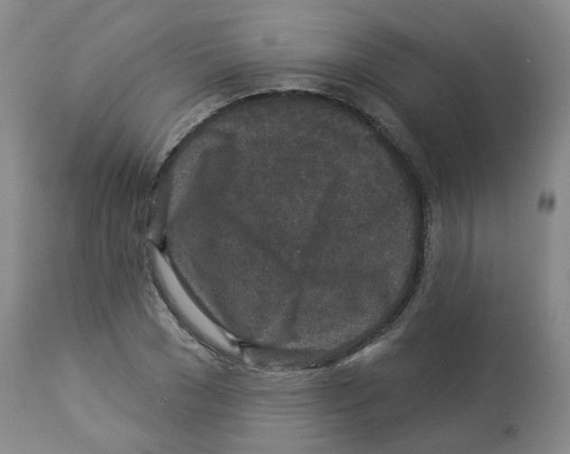 X0000112940977200910051151