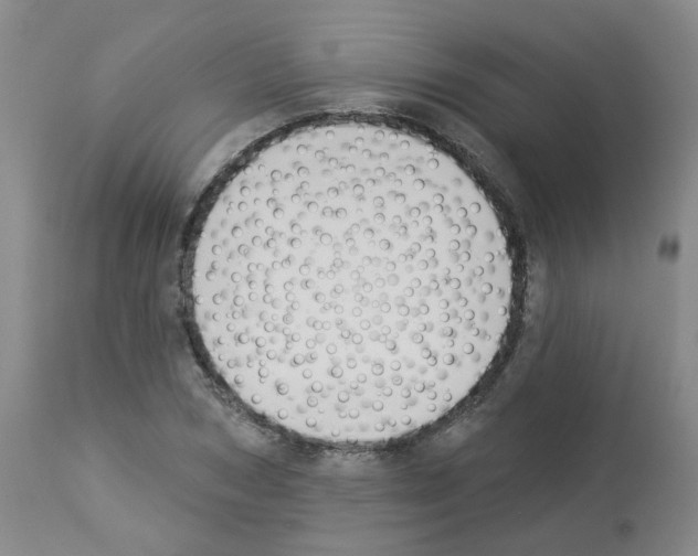 X0000112940978200910051151
