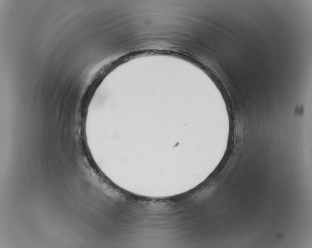 X0000112940979200910051151