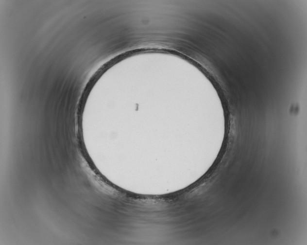 X0000112940980200910051151