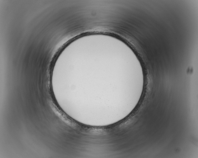 X0000112940982200910051151